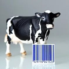 Ветеринарные сопроводительные документы будут выдаваться только через ФГИС "Меркурий"