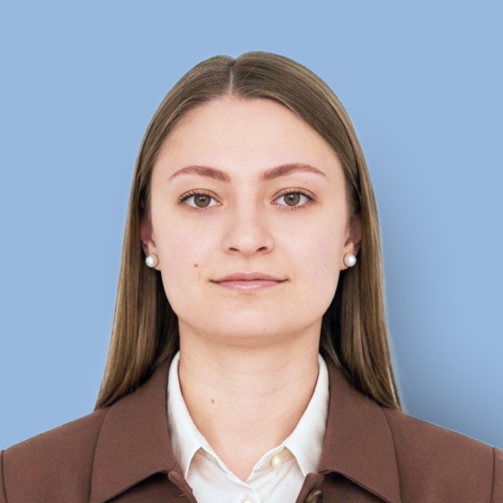 Разинкина ИнфоСофт.png